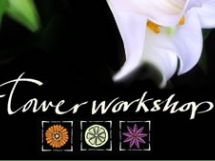 Flower Workshop