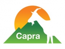 Small Business Logos