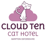 CLOUD TEN CAT HOTEL